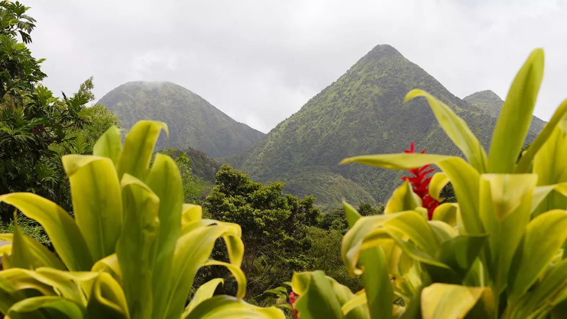 Montagne de Martinique