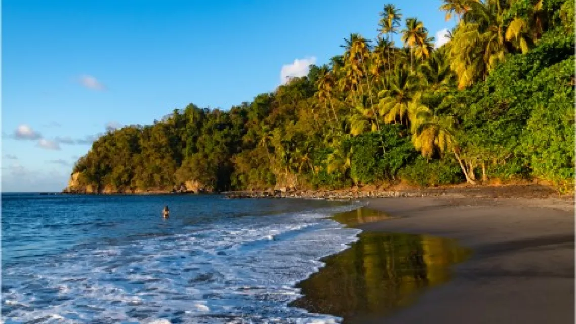 27 - Top 10 des plages en Martinique - Anse Couleuvre.jpeg