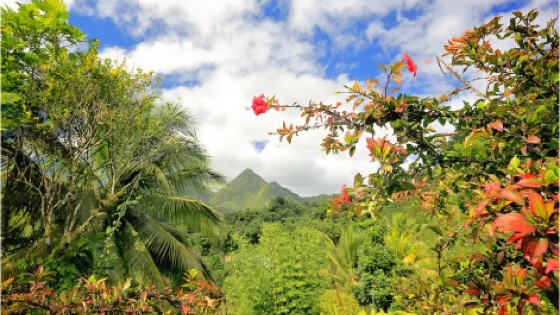 29-Partir-avec-un-bebe-et-des-enfants-en-Martinique-conseils-pratiques--ea71608.jpeg