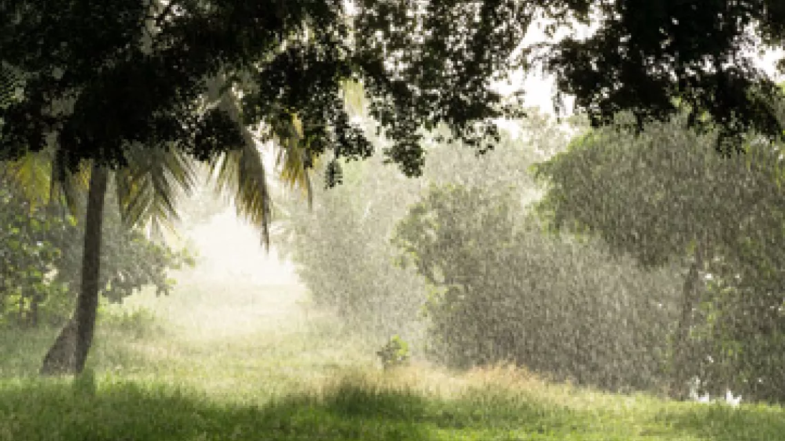 La-saison-des-pluies-en-Guadeloupe_1-vignette.jpg