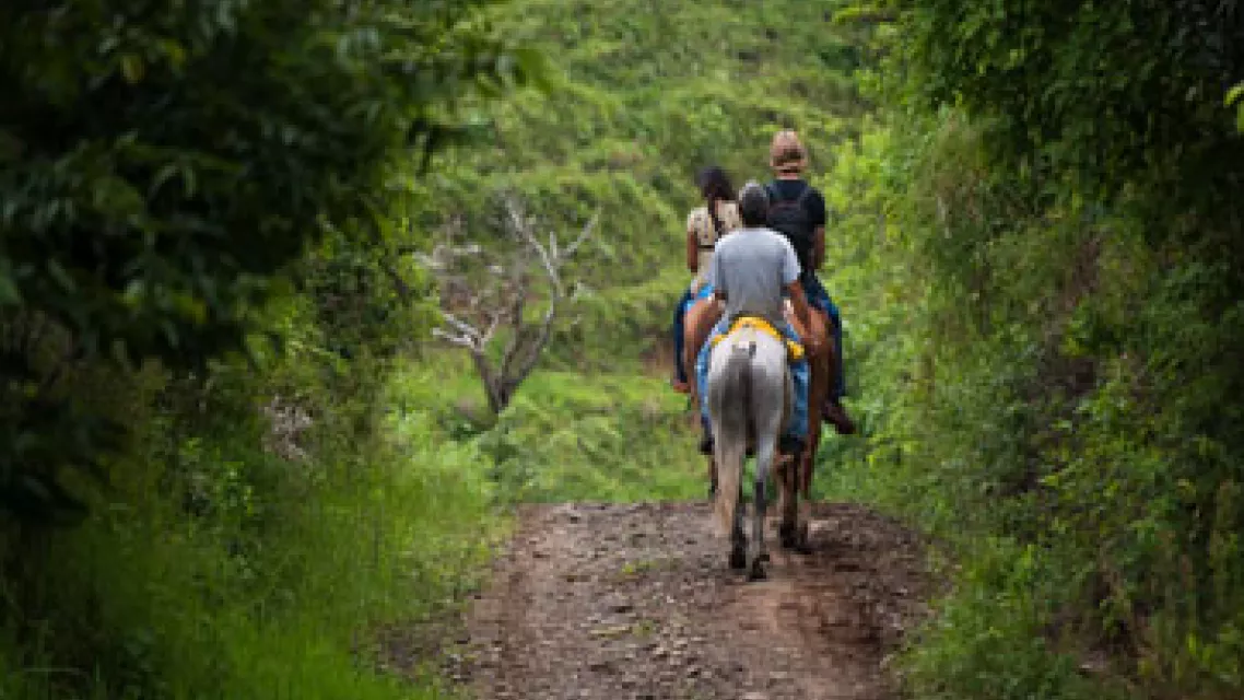 Ou-faire-du-cheval-en-Guyane--2c9a0f0.jpg