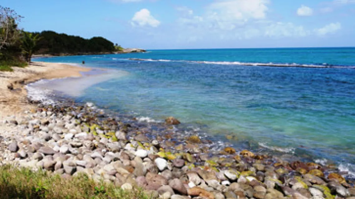 Visiter-le-Grand-Cul-de-sac-Marin-en-Guadeloupe_2-vignette.jpg