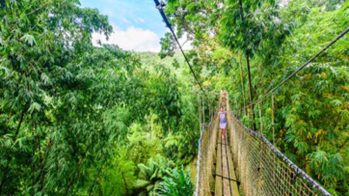 parc-naturel-martinique-vignette.jpg