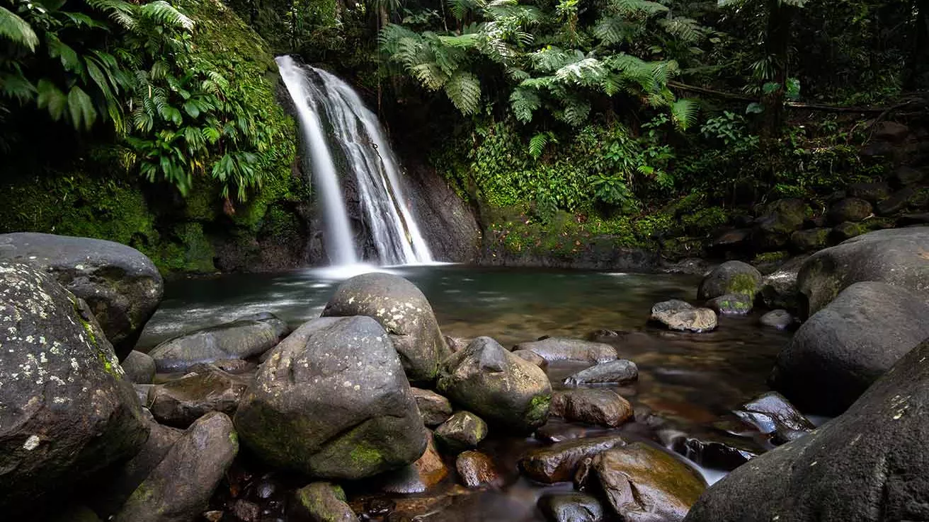 Cascade aux écrevisses en Guadeloupe