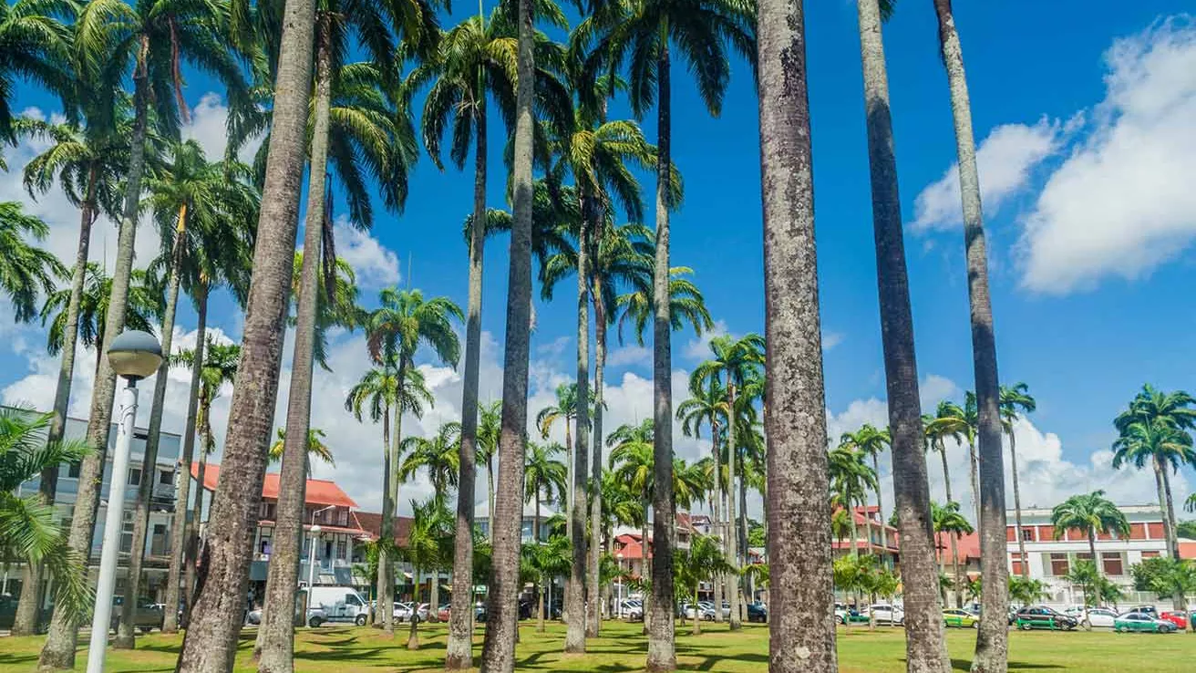 Place des Palmistes à Cayenne en Guyane française