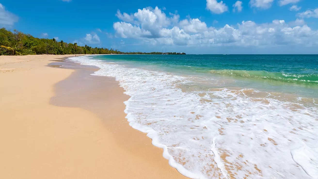 Grand Anse des Salines en Martinique