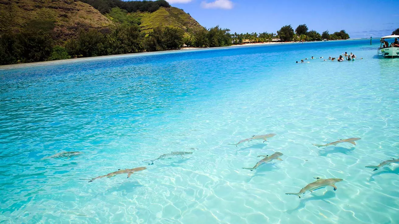 Papeete et Morea en Polynésie française à Tahiti