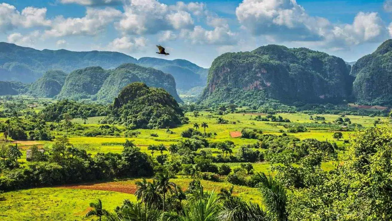 View of the Viales de Cuba valley