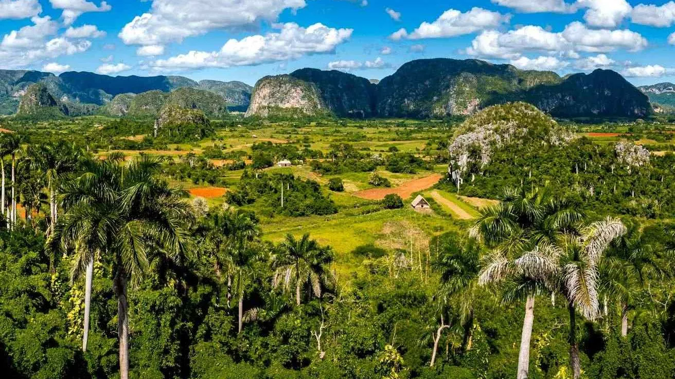 La verde región cubana de Pinar del Río La verde región cubana de Pinar del Río