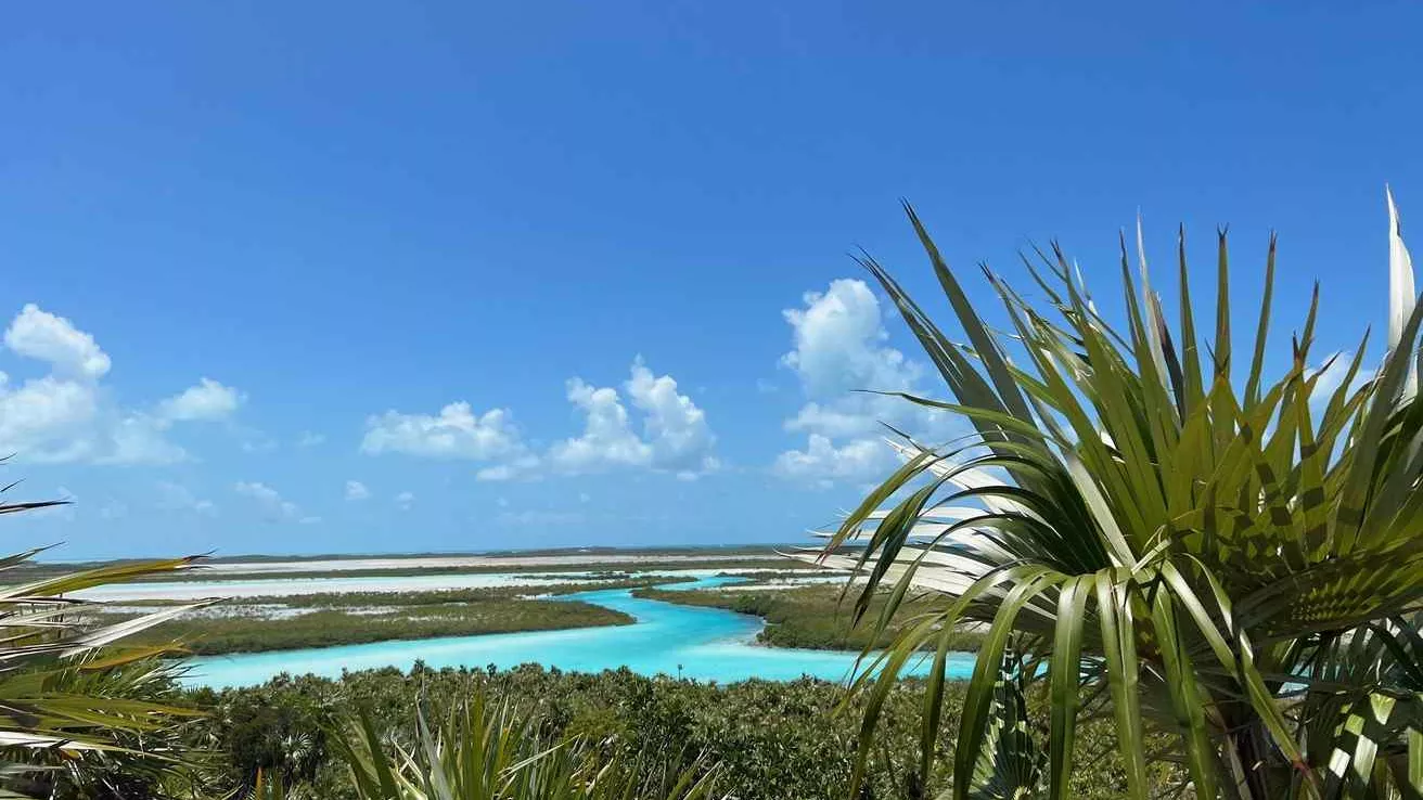 Scène de Land and Sea Park aux Bahamas