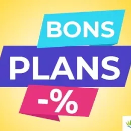 visuel bons plans