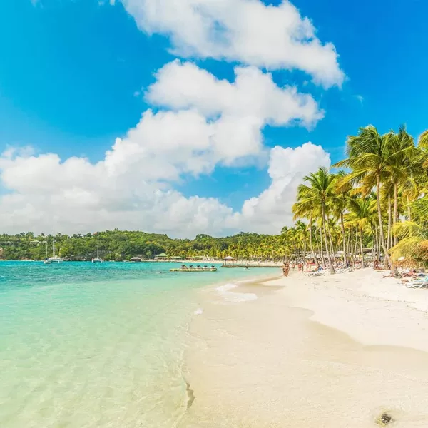 Découvrez la Guadeloupe