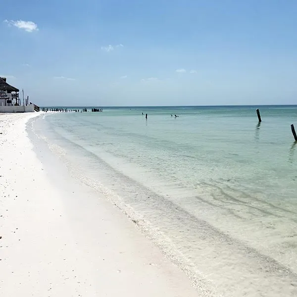 Photo d&#039;une plage de Cancun