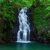 Cascade dans la forêt tropicale de Basse Terre en Guadeloupe