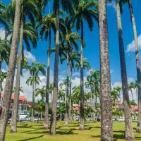 Place des Palmistes à Cayenne en Guyane française