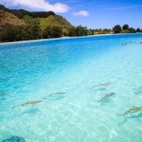 Papeete et Morea en Polynésie française à Tahiti