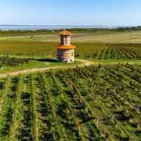 Vue aérienne sur les vignobles verts de Bordeaux