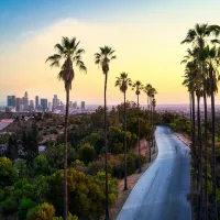 Route de palmiers à Los Angeles