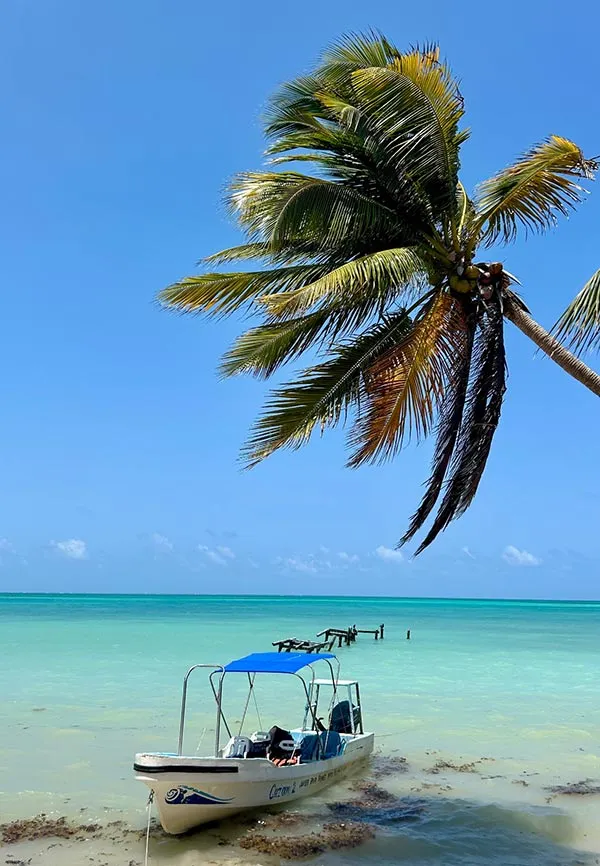 Photo d&#039;une place de Cancun