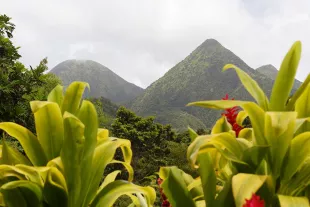 Montagne de Martinique