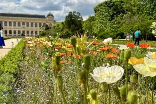 Jardin de plantes à Paris, Francde