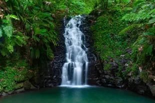 cascade