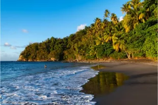 27 - Top 10 des plages en Martinique - Anse Couleuvre.jpeg