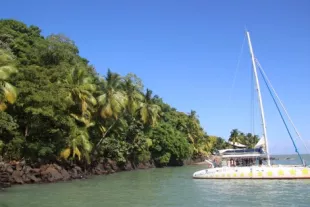 4 - Les tops excursions en bateau en Guyane - bateau.jpeg