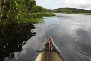 Faire-de-la-pirogue-sur-le-fleuve-Maroni.jpg