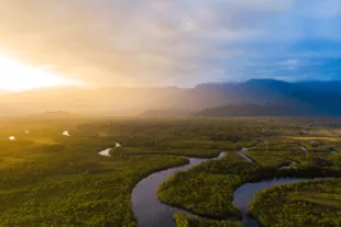 Foret-amazonienne-en-Guyane--7fa18a1.png