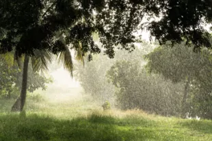 La-saison-des-pluies-en-Guadeloupe_1-vignette.jpg