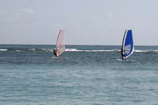 Les-meilleurs-spots-de-Windsurf-en-Guadeloupe_2-vignette.jpg