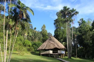 Ou-dormir-dans-la-foret-amazonienne-en-Guyane--cb30a84.jpg