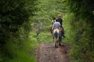 Ou-faire-du-cheval-en-Guyane--2c9a0f0.jpg