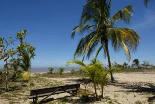 Top-5-des-plus-belles-plages-de-Guyane.jpg