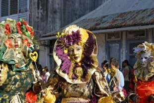 Touloulou-de-Guyane.jpg