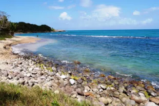 Visiter-le-Grand-Cul-de-sac-Marin-en-Guadeloupe_2-vignette.jpg