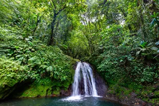 Visiter-le-parc-national-a-la-Guadeloupe_2-vignette.jpg