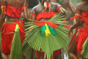 carnaval-guadeloupe.jpg