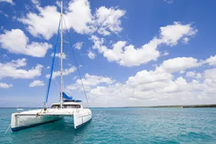 catamaran-martinique-vignette.jpg