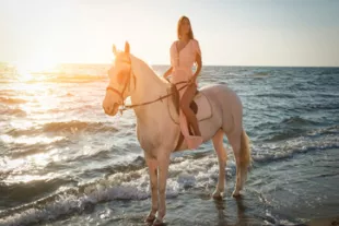 cheval-martinique-vignette.jpg