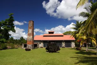 musee-martinique-vignette.jpg