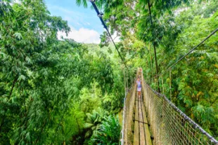 parc-naturel-martinique-vignette.jpg