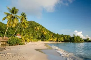 plage-anse-figuier-martinique_0.jpg